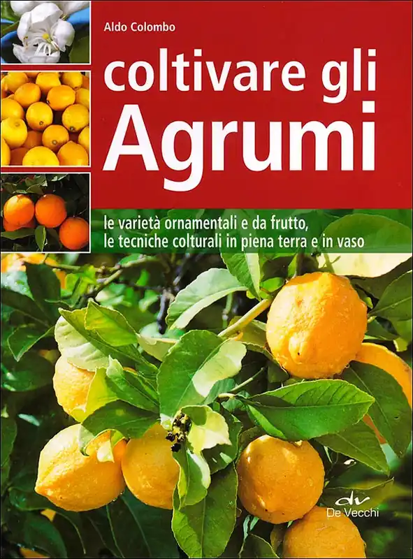 Promozione Coltivare gli Agrumi Le varietà ornamentali e da frutto, le tecniche colturali in piena terra e in vaso