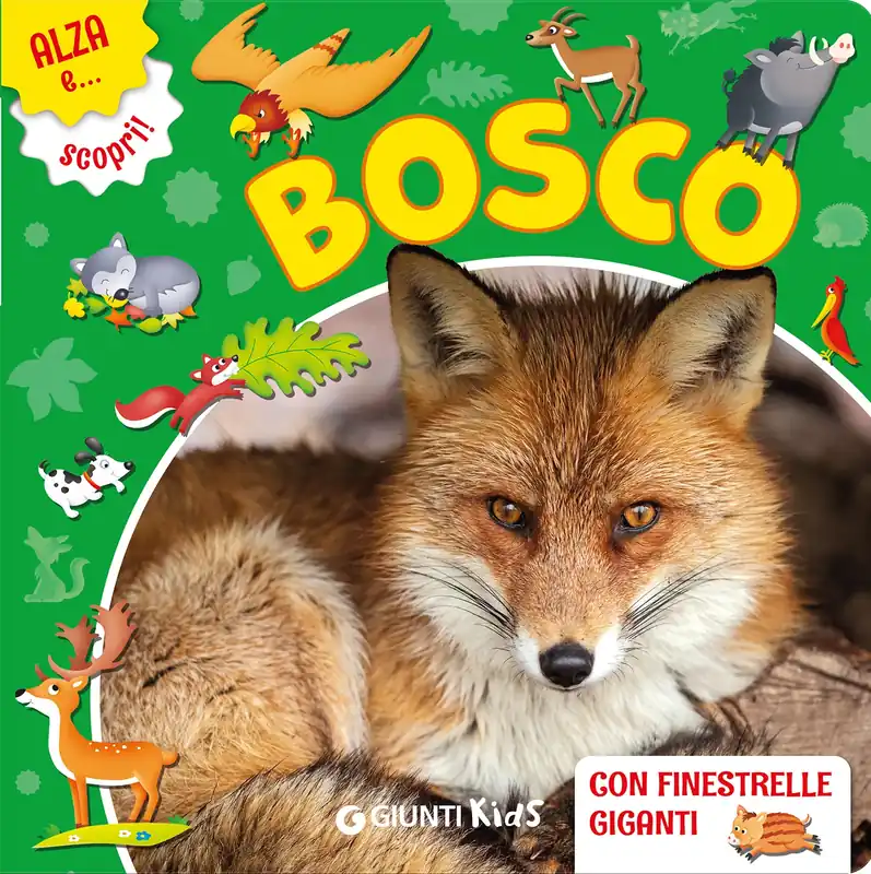Bosco Must-Have